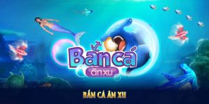 ban-ca-an-xu